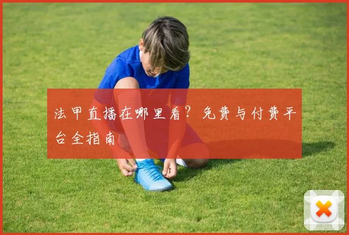 法甲直播在哪里看?免费与付费平台全指南
