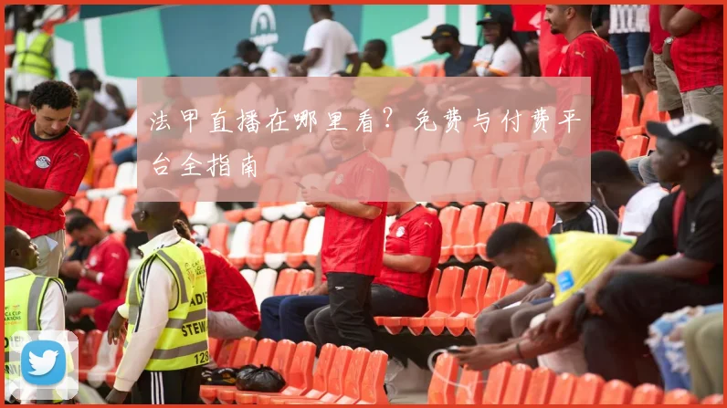 法甲直播在哪里看?免费与付费平台全指南