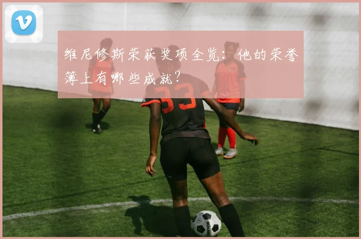 维尼修斯荣获奖项全览：他的荣誉簿上有哪些成就？